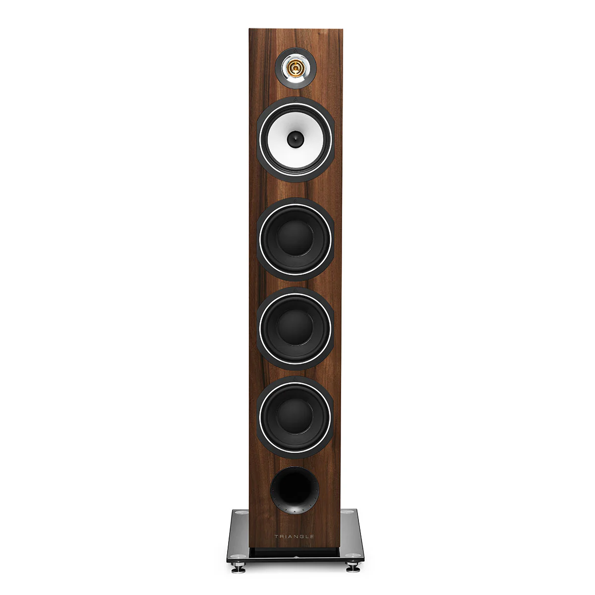 Esprit Ez - Australe Ez - Image 13