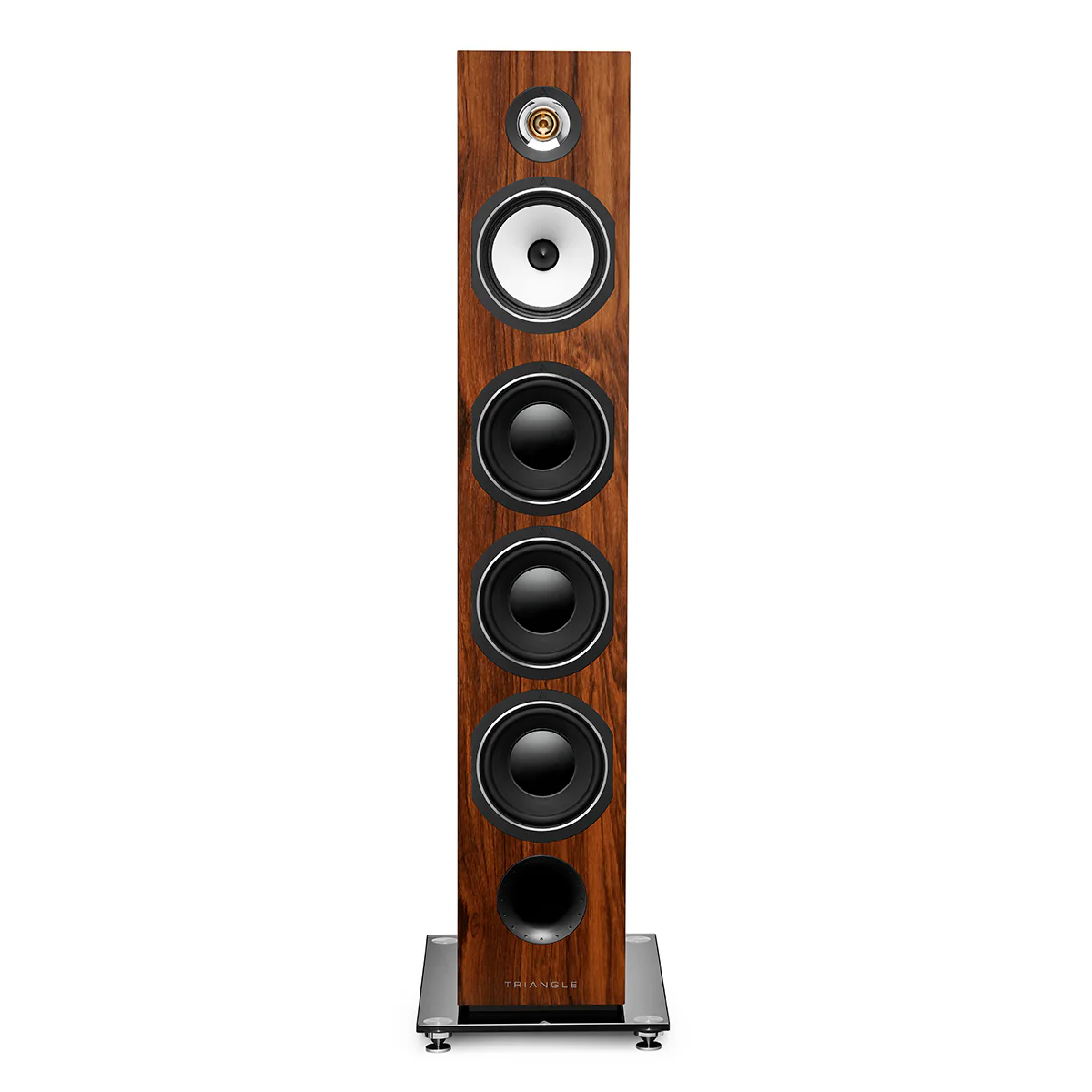 Esprit Ez - Australe Ez - Image 3